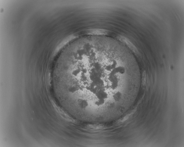 X0000085310351200703231929