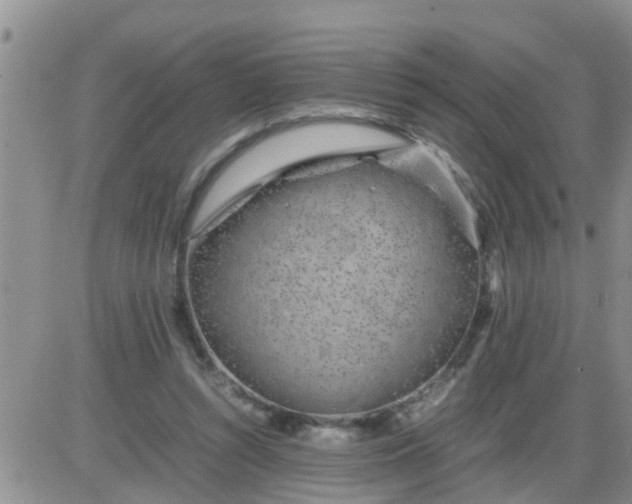 X0000085310352200703231929