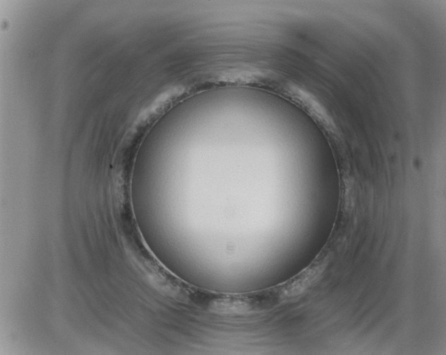 X0000085310354200703231929