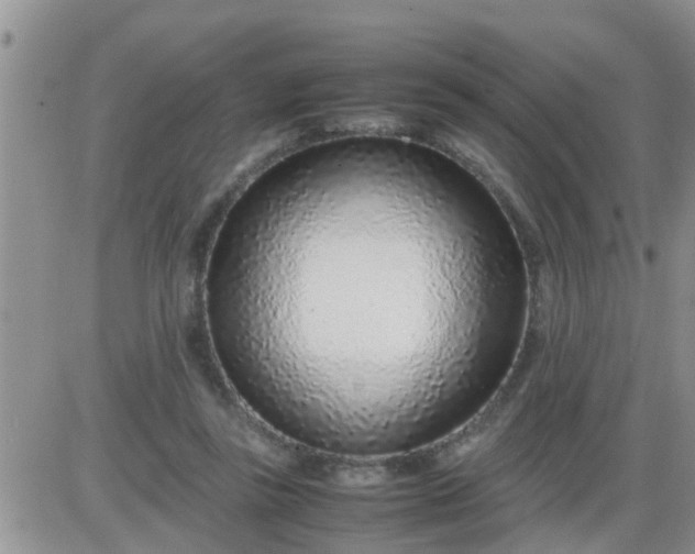 X0000085310355200703231929