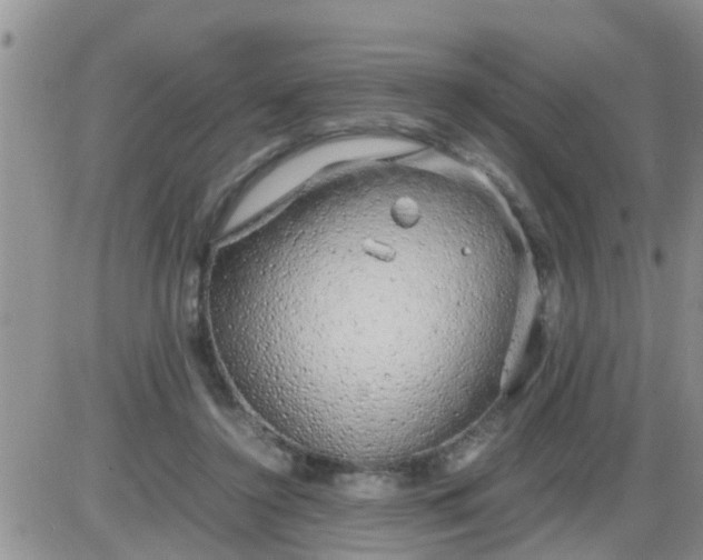 X0000085310356200703231929