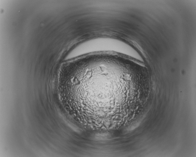 X0000085310357200703231929