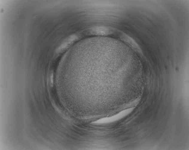 X0000085310358200703231929