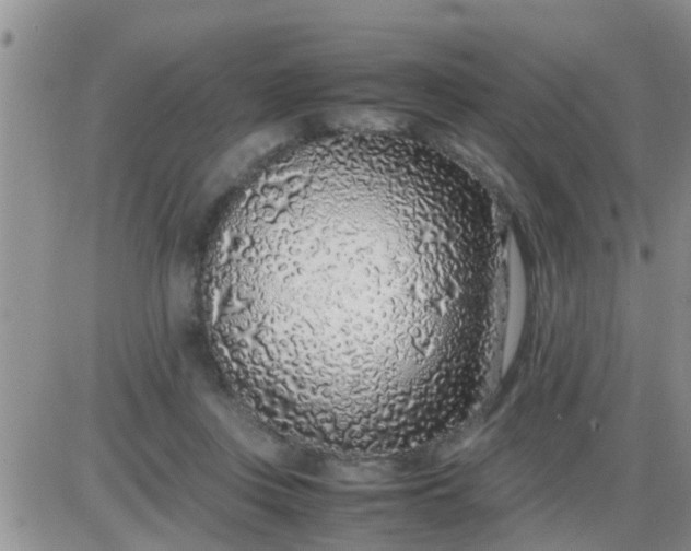 X0000085310359200703231929