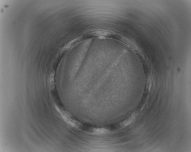 X0000085310360200703231929