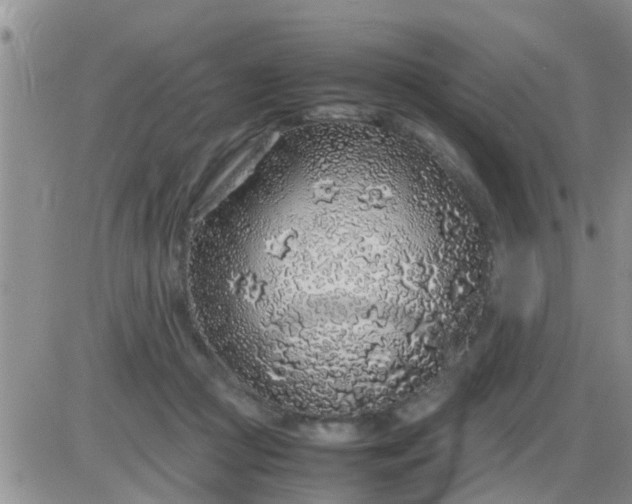 X0000085310361200703231930