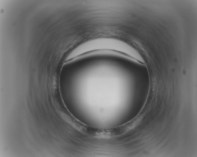 X0000085310362200703231930