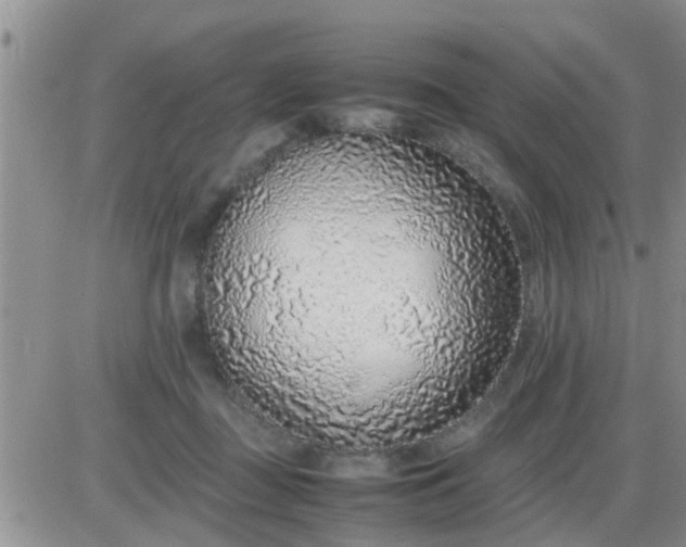 X0000085310363200703231930