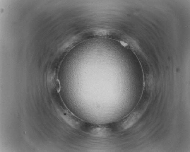 X0000085310364200703231930