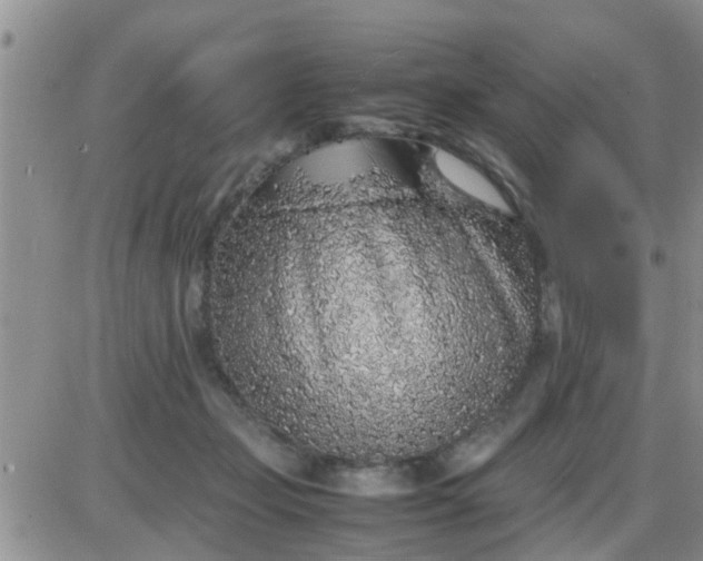 X0000085310365200703231930