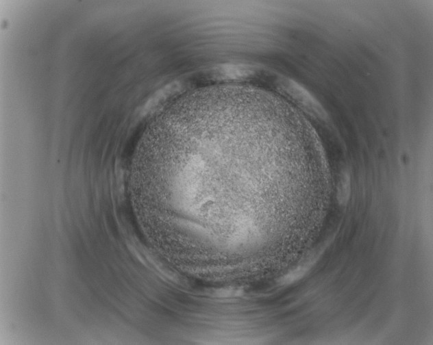 X0000085310366200703231930