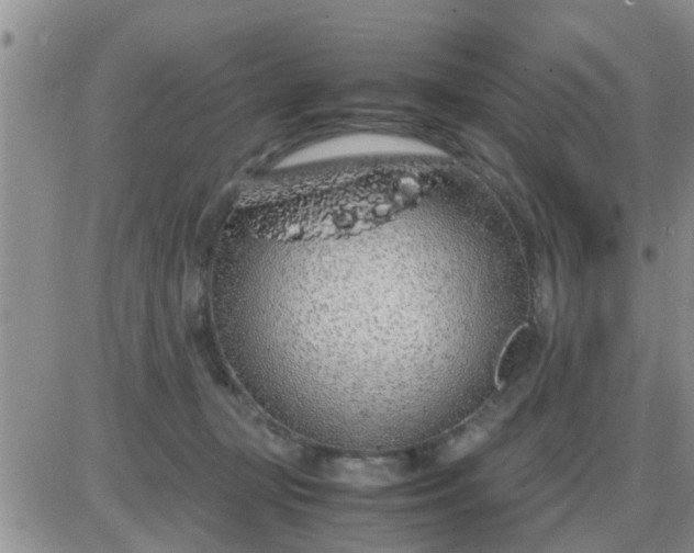 X0000085310367200703231930