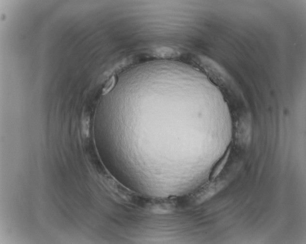 X0000085310368200703231930