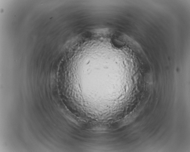 X0000085310369200703231930