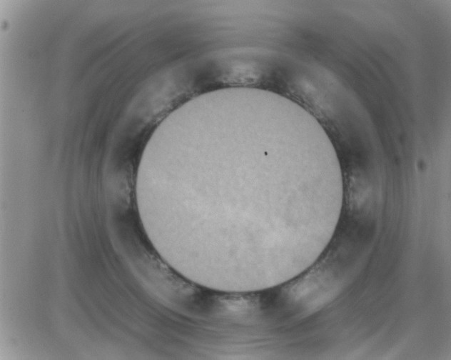 X0000085310370200703231930