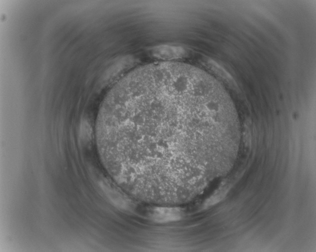 X0000085310371200703231930