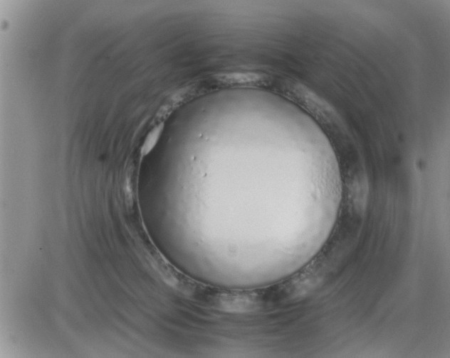 X0000085310373200703231930