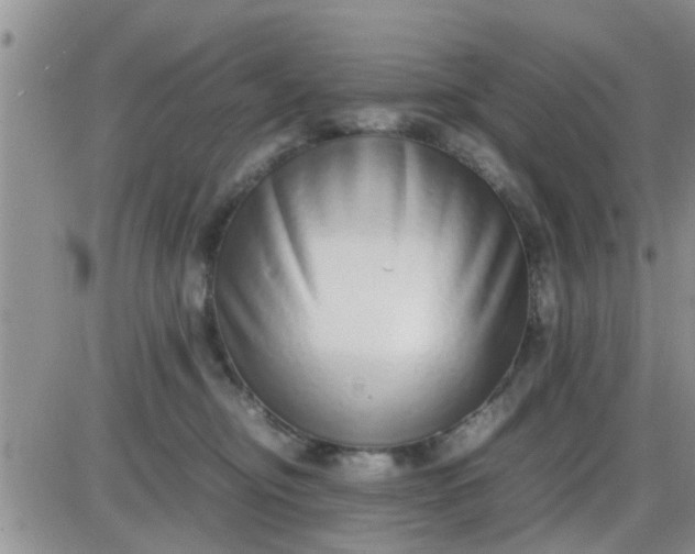 X0000085310374200703231930