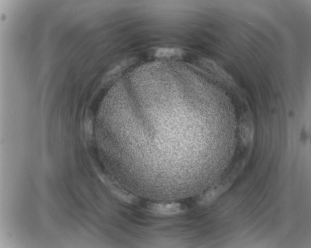 X0000085310375200703231930