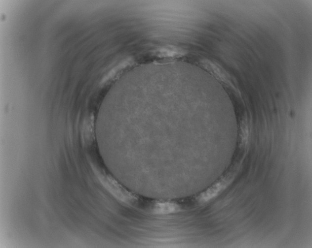 X0000085310376200703231930