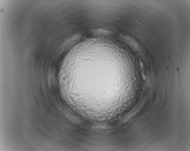 X0000085310377200703231930