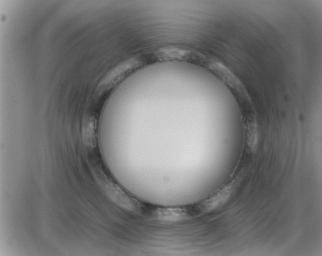 X0000085310378200703231930