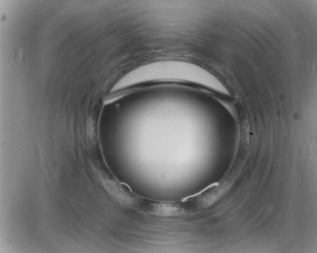 X0000085310380200703231930