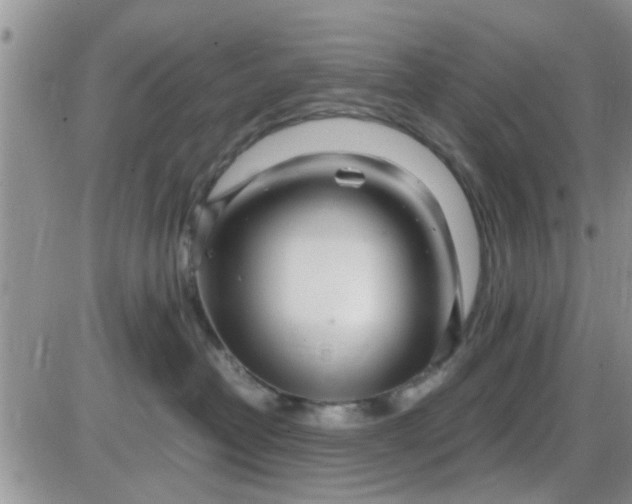 X0000085310382200703231930