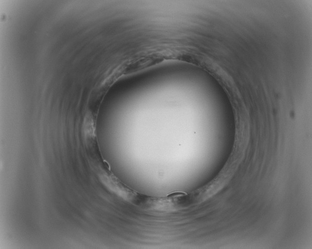 X0000085310384200703231930