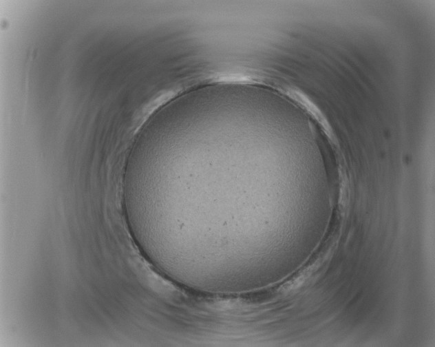 X0000085310385200703231929