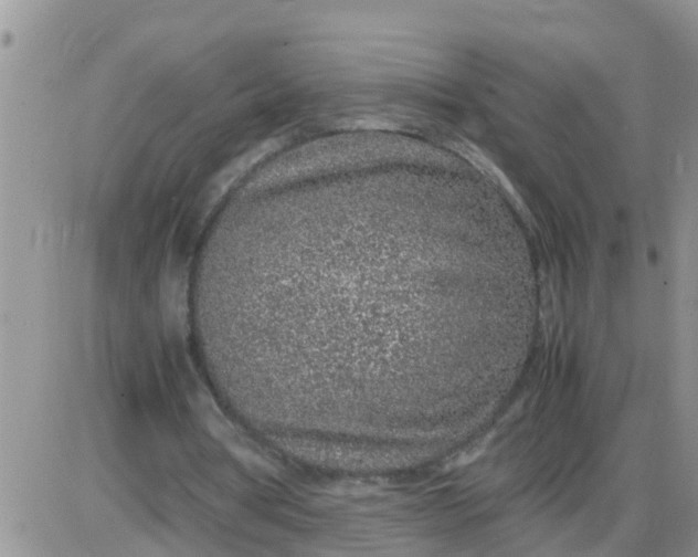 X0000085310386200703231929