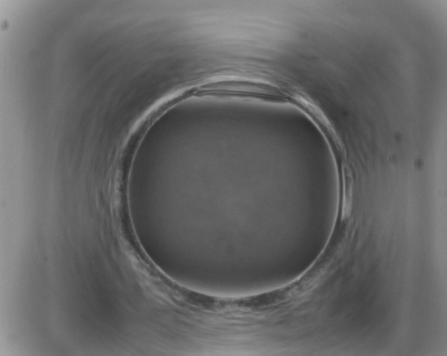 X0000085310387200703231929