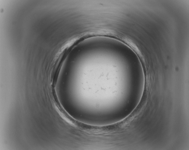 X0000085310389200703231929