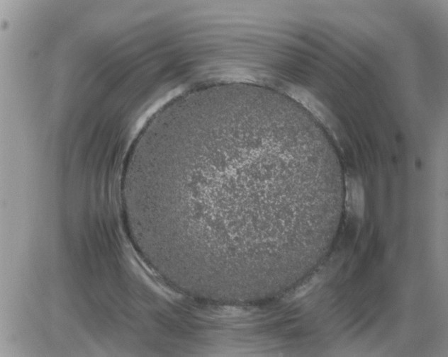 X0000085310390200703231929