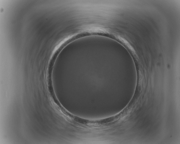 X0000085310391200703231929