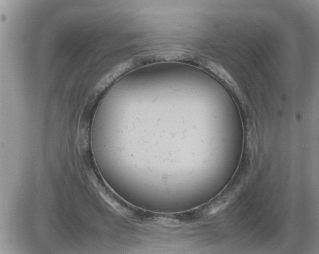 X0000085310393200703231929