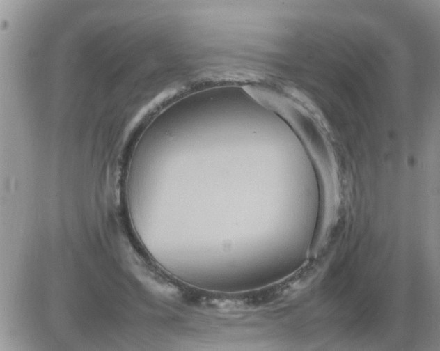 X0000085310395200703231929