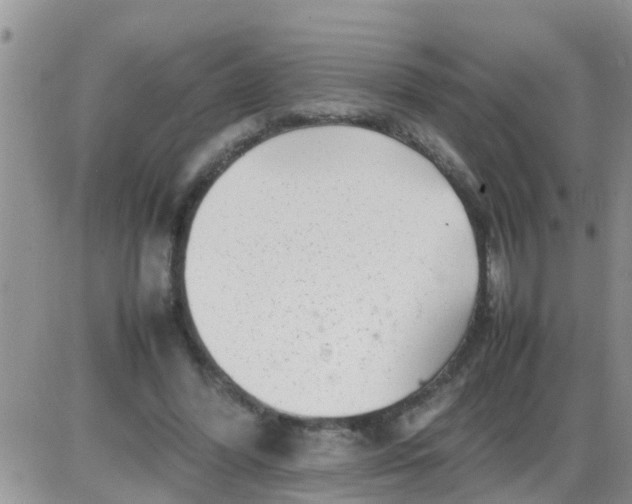 X0000085310396200703231929