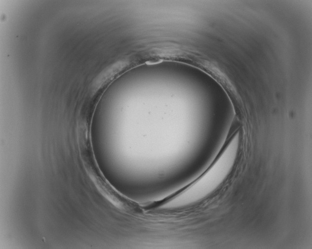 X0000085310397200703231929