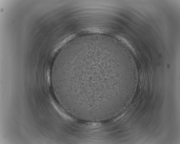 X0000085310398200703231929