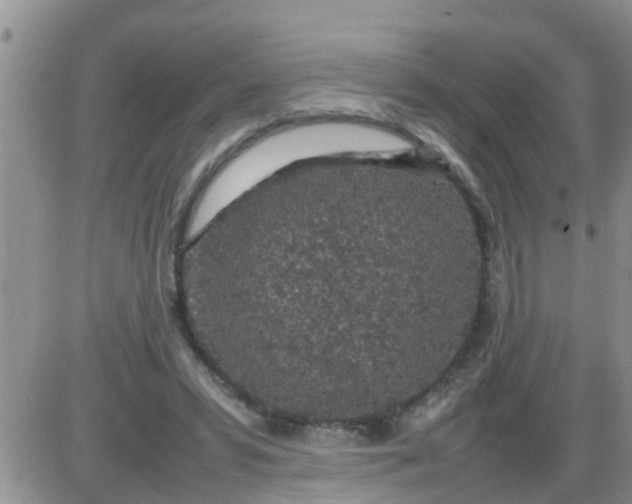 X0000085310399200703231929