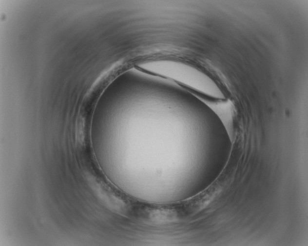 X0000085310400200703231929