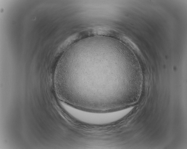 X0000085310401200703231929