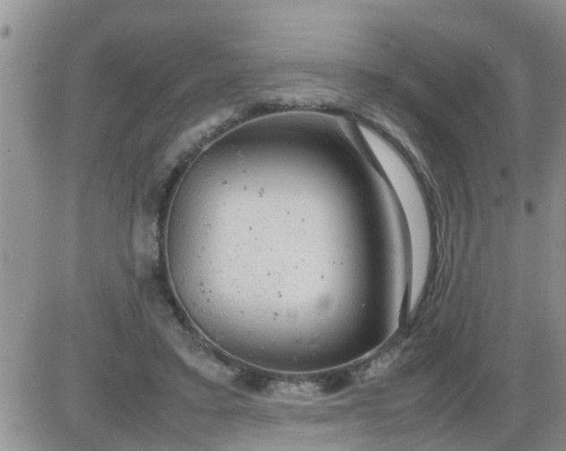 X0000085310403200703231929