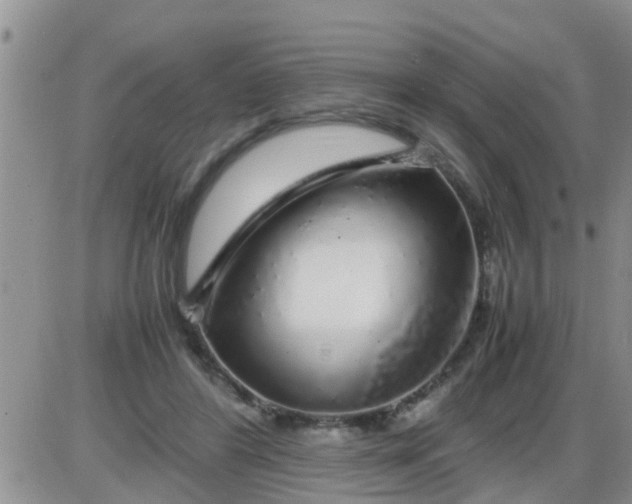 X0000085310404200703231929