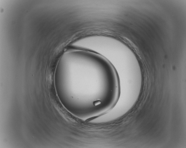 X0000085310405200703231929