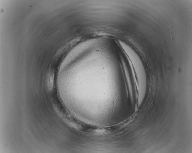 X0000085310406200703231929