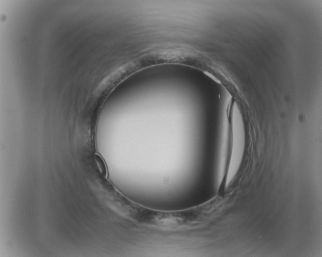 X0000085310407200703231929