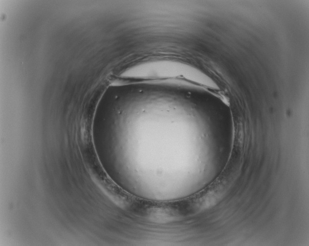 X0000085310408200703231929