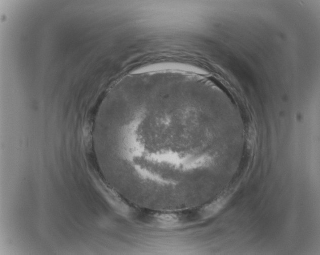 X0000085310409200703231929